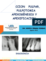 Proteccion Pulpar Pulpotomia Apexificacion 2015