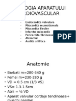 2.patologia Aparatului Cardiovascular