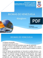 Biomas de Venezuela