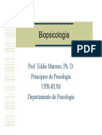 Apuntes de Biopsicologia.