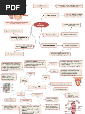 Mind Map Sistem Pencernaan Makanan