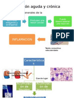 Inflamacion Aguda y Cronica