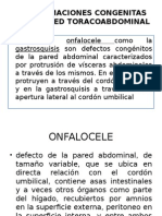 Malformaciones Congenitas de La Pared Toracoabdominal