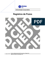  Manual Registros de Pozos PDVSA CIED