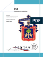 ADYCHEM Auditoría PDF