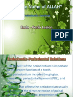 Endo Periolesions 130302101222 Phpapp02