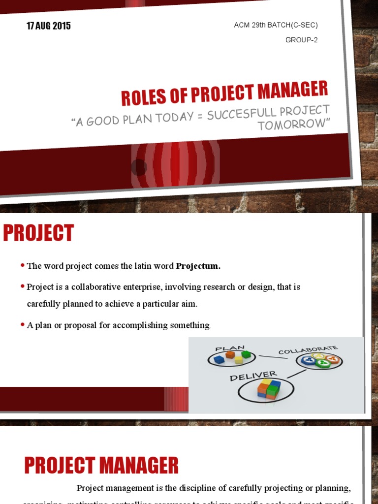 Project Manager Roles and Responsibilities | PDF | Project Manager ...