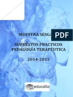 Supuesto práctico pedagogía terapéutica ceguera