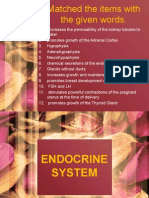 Endocrine System Matching