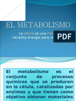 El Metabolismo Celular