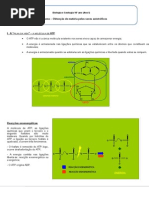 Ficha Resumo - Obtenção de energia pelo seres autotróficos