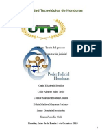 Informe Organizacion Judicial