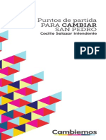 Plataforma de Gobierno - "Cambiemos" San Pedro