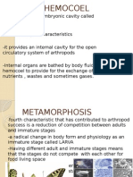 Arthropod Characteristics: Hemocoel, Metamorphosis, Trilobitomorpha
