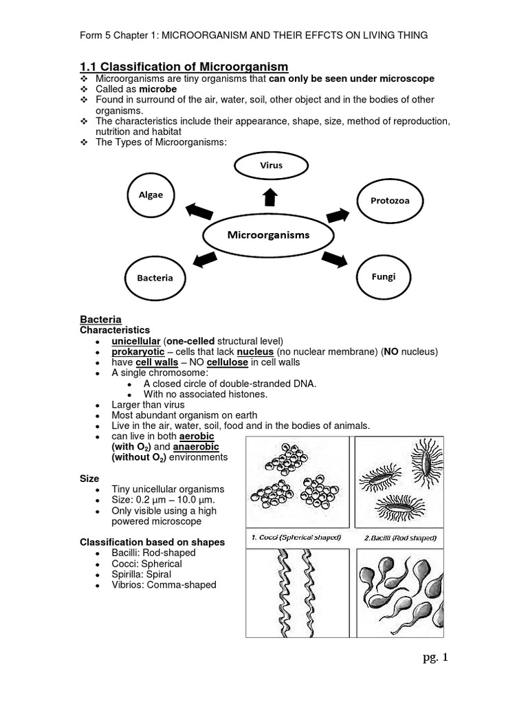 Form 5 Chapter 1 Notes | Download Free PDF | Immune System ...