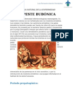 Historia Natural de La Enfermedad - Peste Bubonica