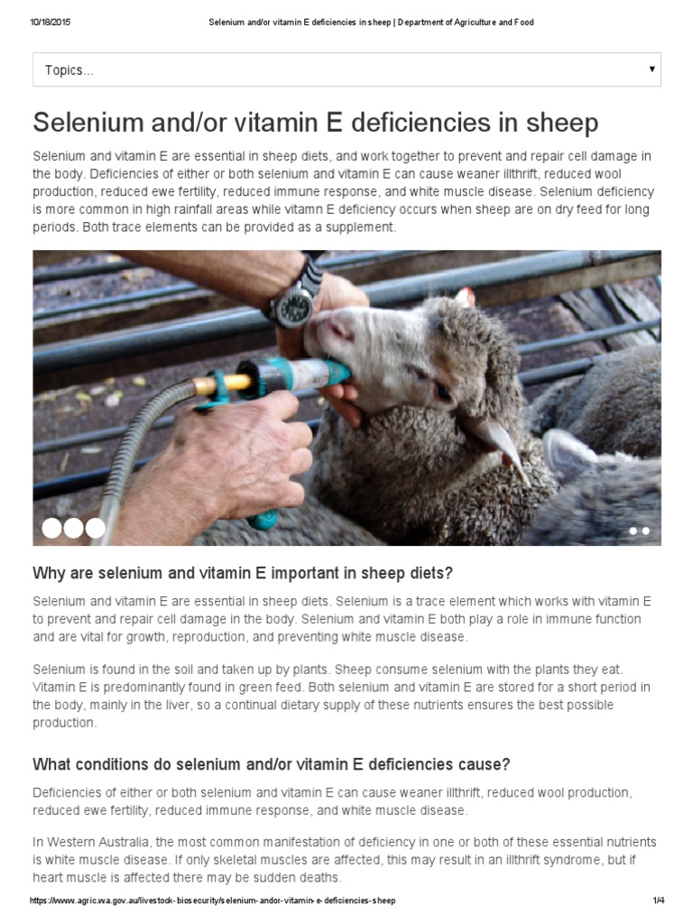 Selenium and or Vitamin E Deficiencies in Sheep Department of