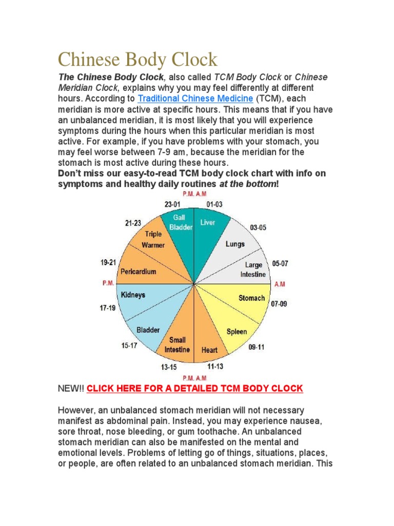 TCM Body Clock: Organ Activity Guide | PDF | Traditional Chinese ...