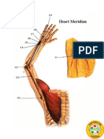 HeartMeridina.doc