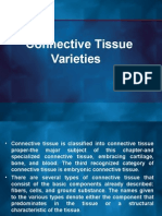 1.4 Conn Tiss Types