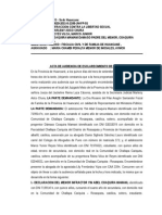 Acta de Audiencia de Esclarecimiento de Hechos