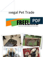 Grades 6-9 Illegal Pet Trade Presentation Final Version