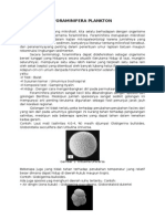 Foraminifera Planktonik