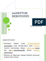 Serotonin Bang Sandra