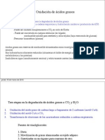 PDF D.Segura Degradación AcGrasos