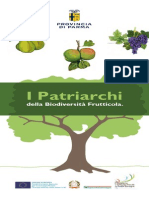 Alberi Patrarchi