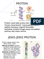 Protein