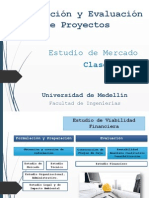 Estudio de Mercado PDF