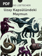 Hugo Loetscher - Uzay Kapsülündeki Maymun