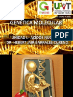Presentacion 1 de Unidad 1 de Genética Molecular