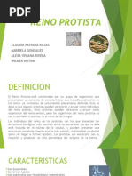 Exposicion Reino Protista