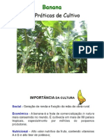 Banana - Cultivares e Praticas de Cultivo