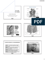 Diapo Patolog QX Anorectal Deparedabdominal