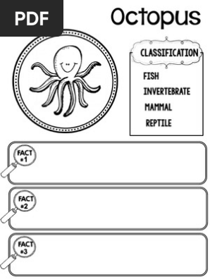 octopus