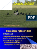 CLOSTRIDIASISPeru2