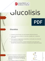 Glucolisis 