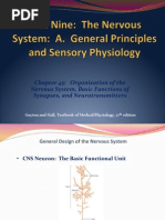 Chapter 45-Organization of The Nervous System, Basic Functions of Synapses, and Neurotransmitters