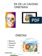 Anatomía de La Cavidad Orbitaria