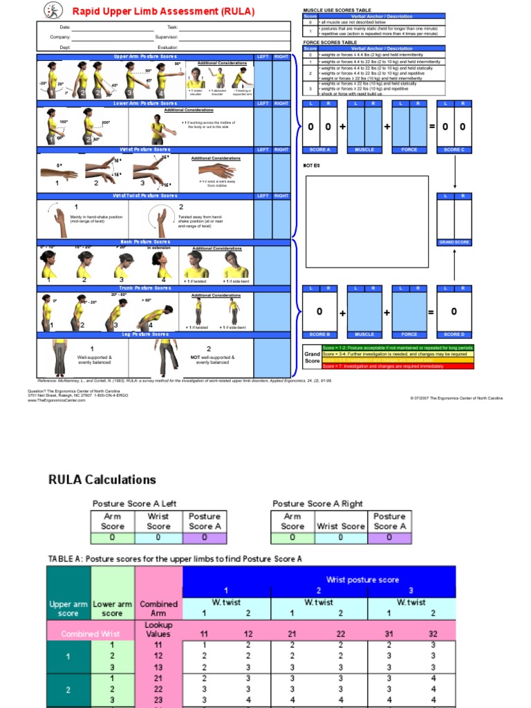 RULA Smart Form | PDF | Anatomical Terms Of Motion | Limbs (Anatomy)