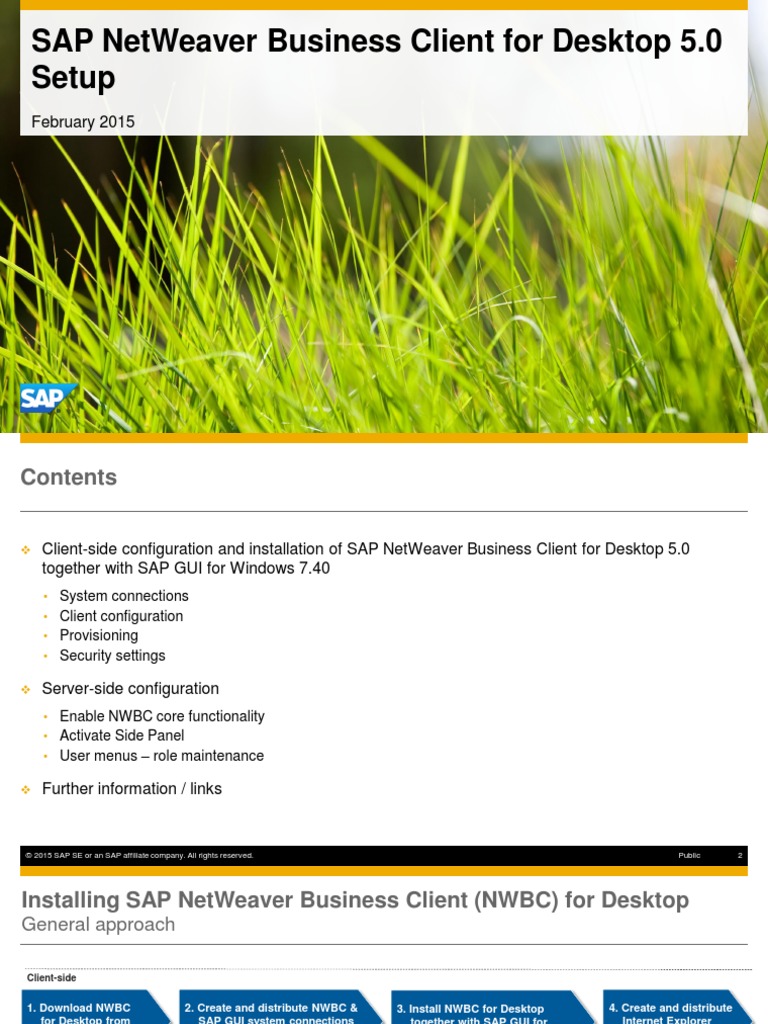 SAP NetWeaver Business Client For Desktop 5.0 Setup | PDF | Internet  Explorer | Windows Registry
