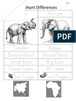 Elephant Differences