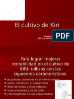 El Cultivo de Kiri