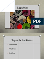 PDF Bactérias, Fungos e Protozoários