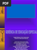 Política - Educação Especial 2007