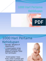 251084770 1000 Hari Pertama Kehidupan PPT