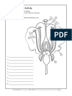 AAB Flower Anatomy Activity